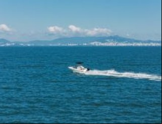 Pesca esportiva impulsiona turismo e indústria náutica no mundo, e Brasil tem potencial para ser a "bola da vez"