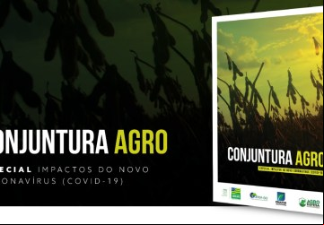 Dados oficias da SEAPA Goiás (Reprodução / Comunicação Setorial)