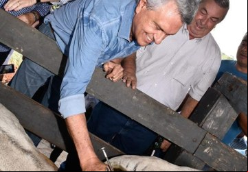 Segunda etapa da campanha de vacinação contra febre aftosa será realizada de 1º a 30 de novembro: previsão é imunizar 10 milhões de bovinos e bubalinos com idade de zero a 24 meses (Wenderson Araújo)