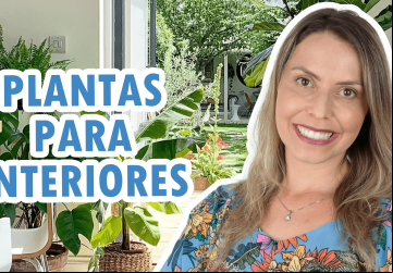 (Reprodução)