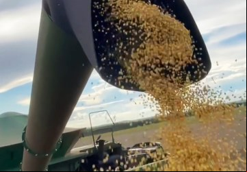 O agronegócio foi um dos poucos setores que continuaram crescendo, a despeito dos efeitos da crise em diversos segmentos da indústria