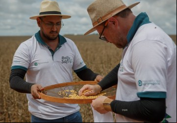 Técnicos do Rally da Safra avaliam lavoura