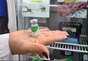 Soro antiaracni?dico deve ser aplicado preferencialmente em ate? 36 horas: quanto mais ra?pido for o tratamento, menores as chances de complicac?o?es