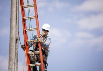 Somente no primeiro trimestre de 2025, foram realizadas mais de 75 mil podas e livramentos de rede em estruturas de média e baixa tensão.